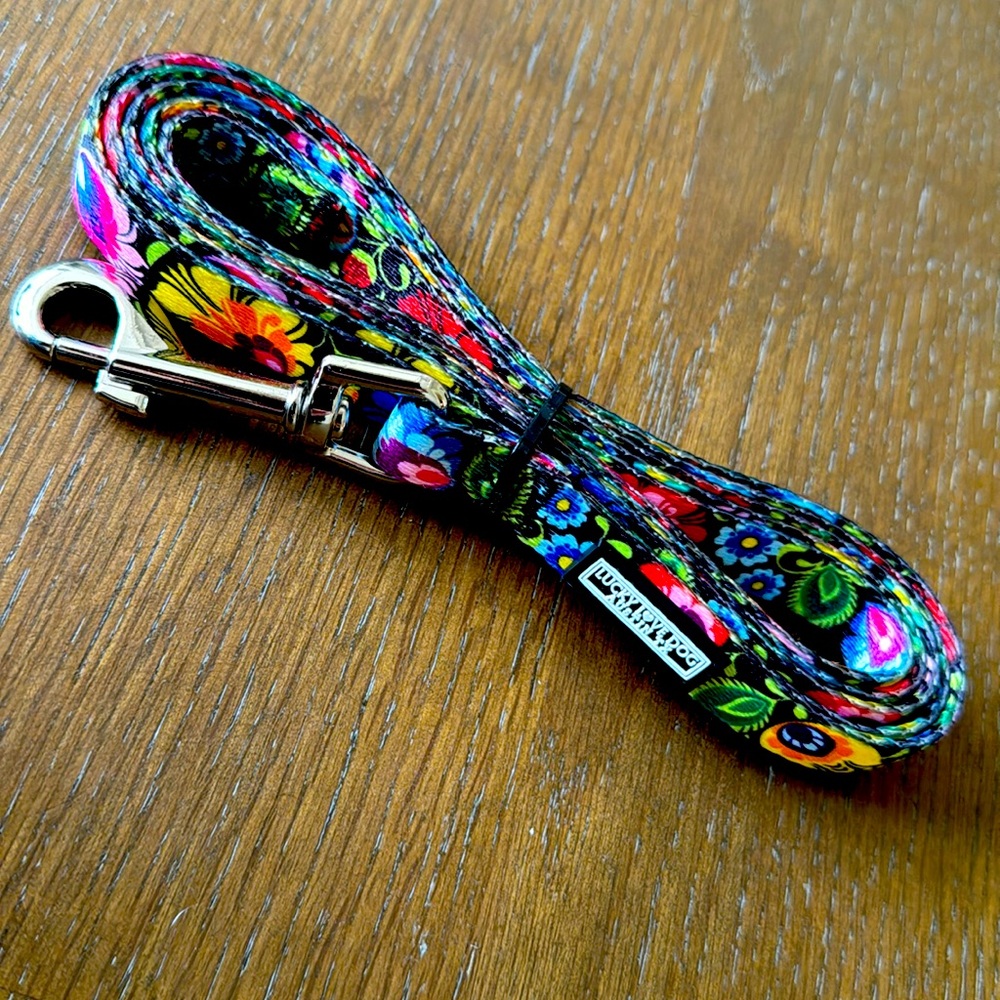 Lucky Love Dog matching pet leash and collar
